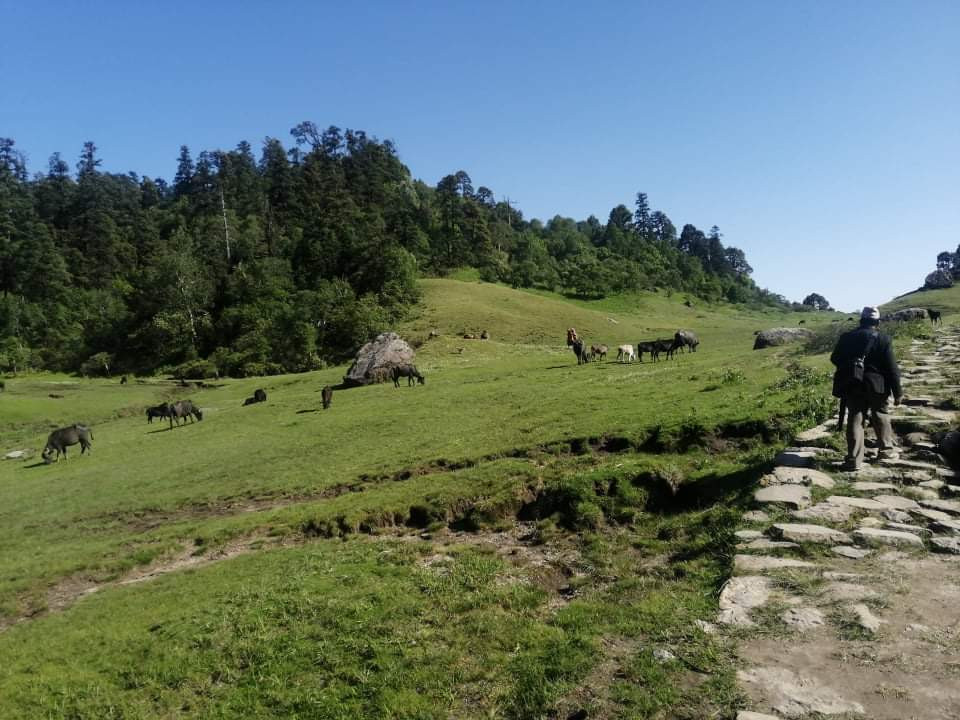 https://www.setopati.com/uploads/shares/2020/sujita/ghumfir khaptad/khaptad yatra (1).jpeg